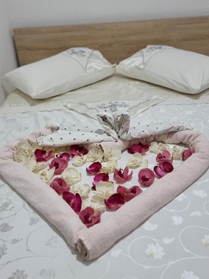 Hostel Bellavista 코페르 외부 사진